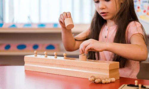 Curso montessori educacion primaria
