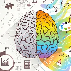 Curso Homologado Neuroeducación para Docentes