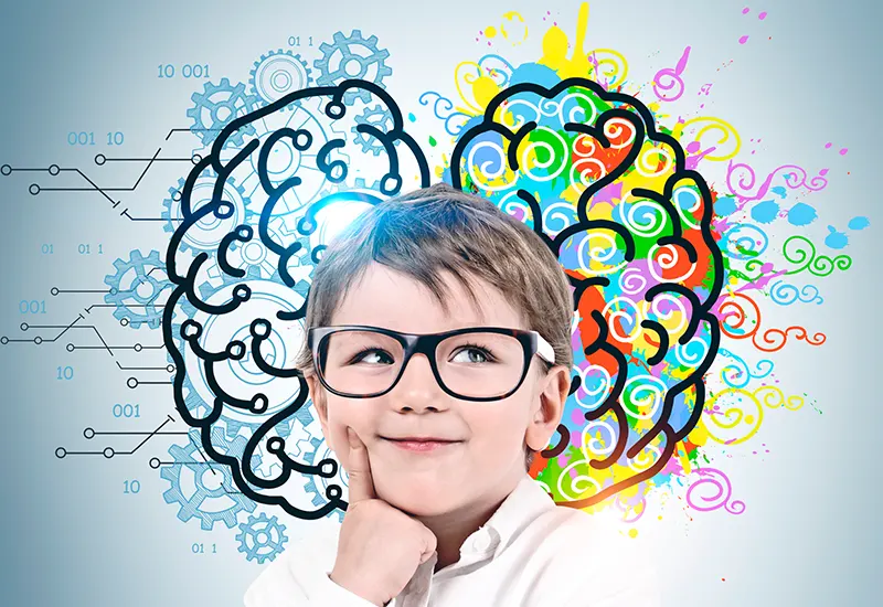 Card Meurodidáctica 800x550 Disciplina positiva y educación emocional